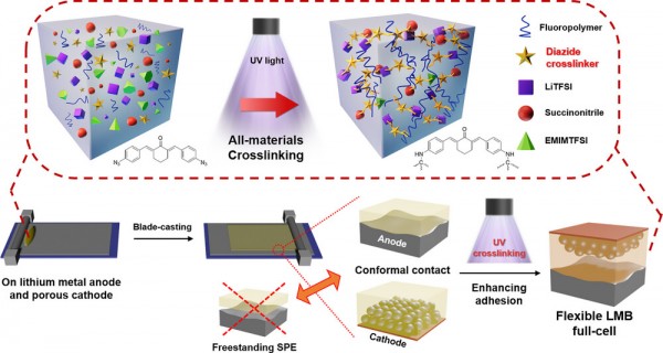 All-Material Crosslinked Solid Polymer Electrolytes for High ...
